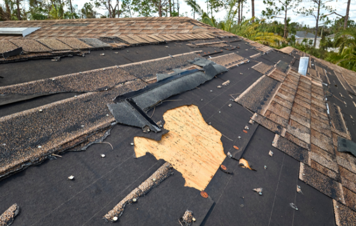 Is Your Roof Leaking Here's What to Do in the Next 24 Hours