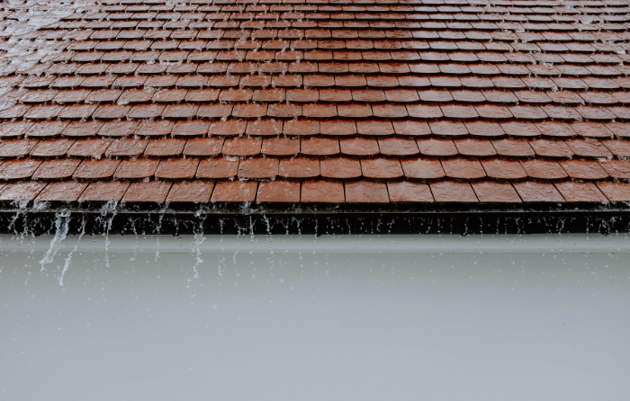 Why Does a Roof Start Leaking