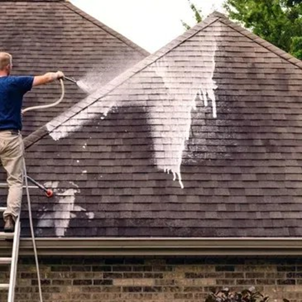 Professional roof cleaning removes algae and moss that thrive in humid weather.