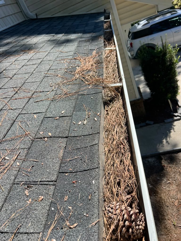 Needles collecting on the shingles and filling the gutter: a clear sign that gutter cleaning is overdue.