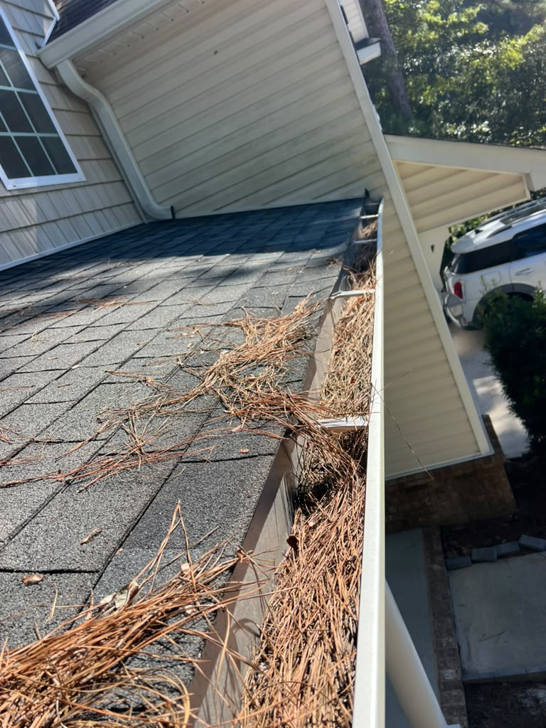 Needles collecting on the shingles and filling the gutter: a clear sign that gutter cleaning is overdue.